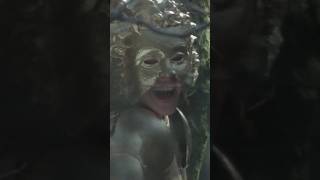 This Forgotten Fantasy Film Is Metal And You Should Watch It Asap