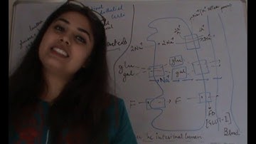 Csir Net Life Science Lectures Module Wise Chapter One Part Twenty  | The Digestive System Part 7 |