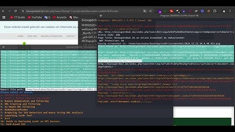 🚀 Automated XSS Methodology for Bug Bounty Hunters | xss0r Tool