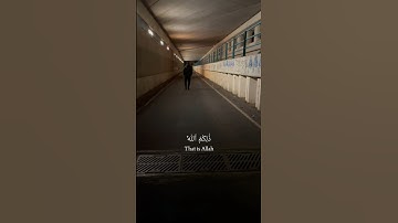 Surah al An'am 6:102-103 سورة الأنعام #foryou #quran #لايك #قران