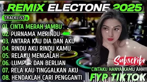 CINTA MERAH JAMBU - ALBUM REMIX ELECTONE 2025
