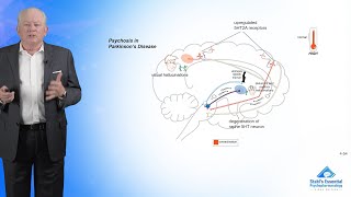 The Serotonin Hypothesis of Psychosis