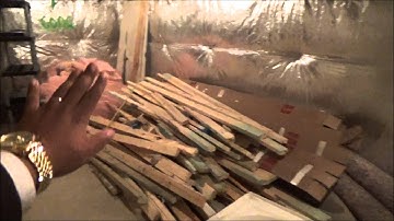 The Beast, Unleashed [Episode 3]: The Fanatical Mechanical Move