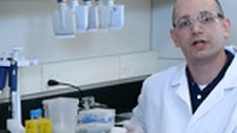 SureSelect: AMPure Beads Purification