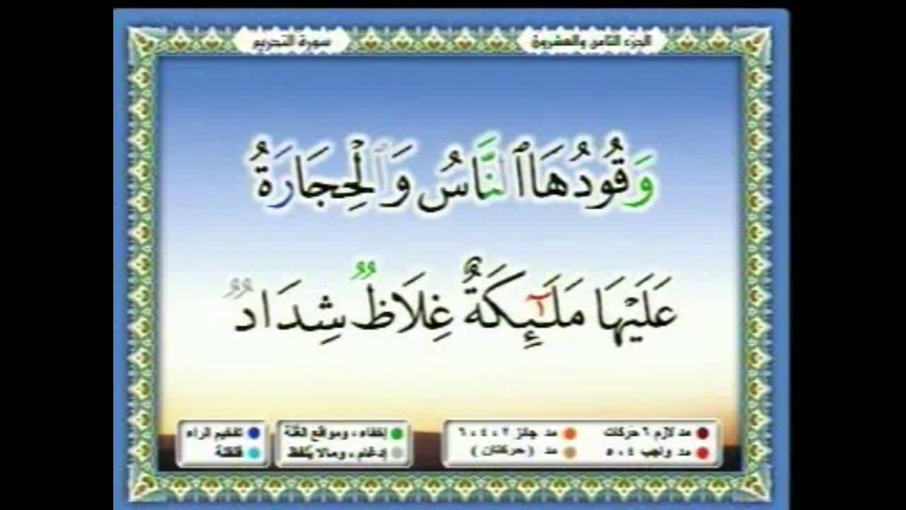 سعدالغامدي 224  - جزء 28  - ربع8- يَا أَيُّهَا النَّبِيُّ لِمَ تُحَرِّمُ مَا أَحَلَّ اللَّهُ