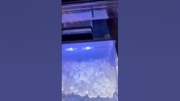 Satisfying Nugget Ice Maker ASMR #ice #icemaker #nuggetice #goodice #cravings