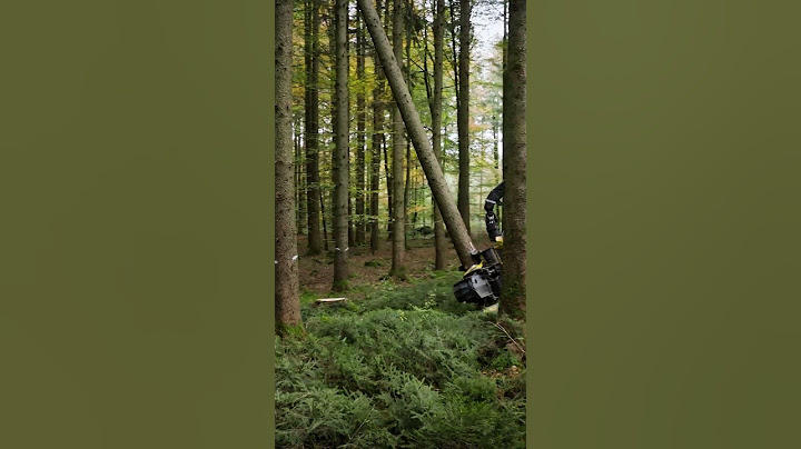 Tree-mendous work in progress! Watch the power of our harvester head H425 unfold. 🌲