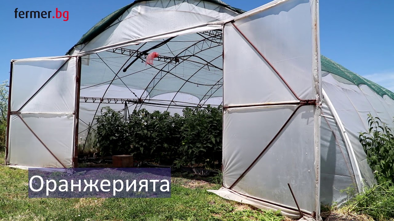 Трънливият път към оранжерийното производство