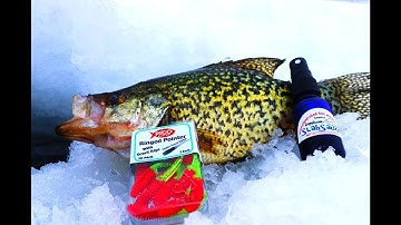 Jigging Soft plastics for Crappie, Bluegill, and Perch | Slabsauce and Pico lures
