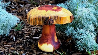 Ugly Wood Mushroom by Woodturning with Tim Yoder 13,701 views 1 year ago 11 minutes, 48 seconds