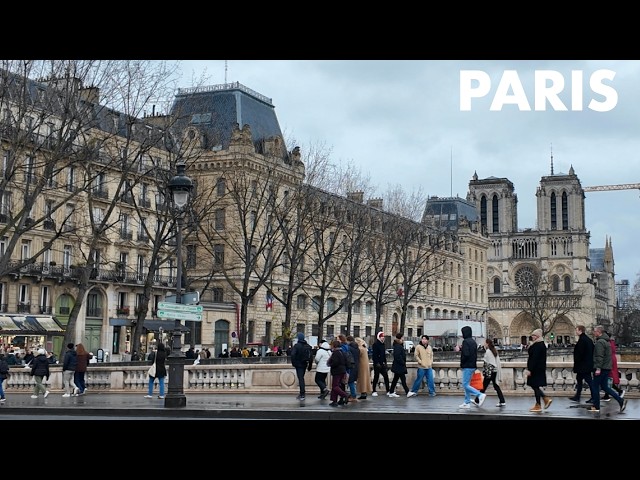 パリ散歩】シテ島からノートルダム大聖堂あたりを散歩。 - YouTube