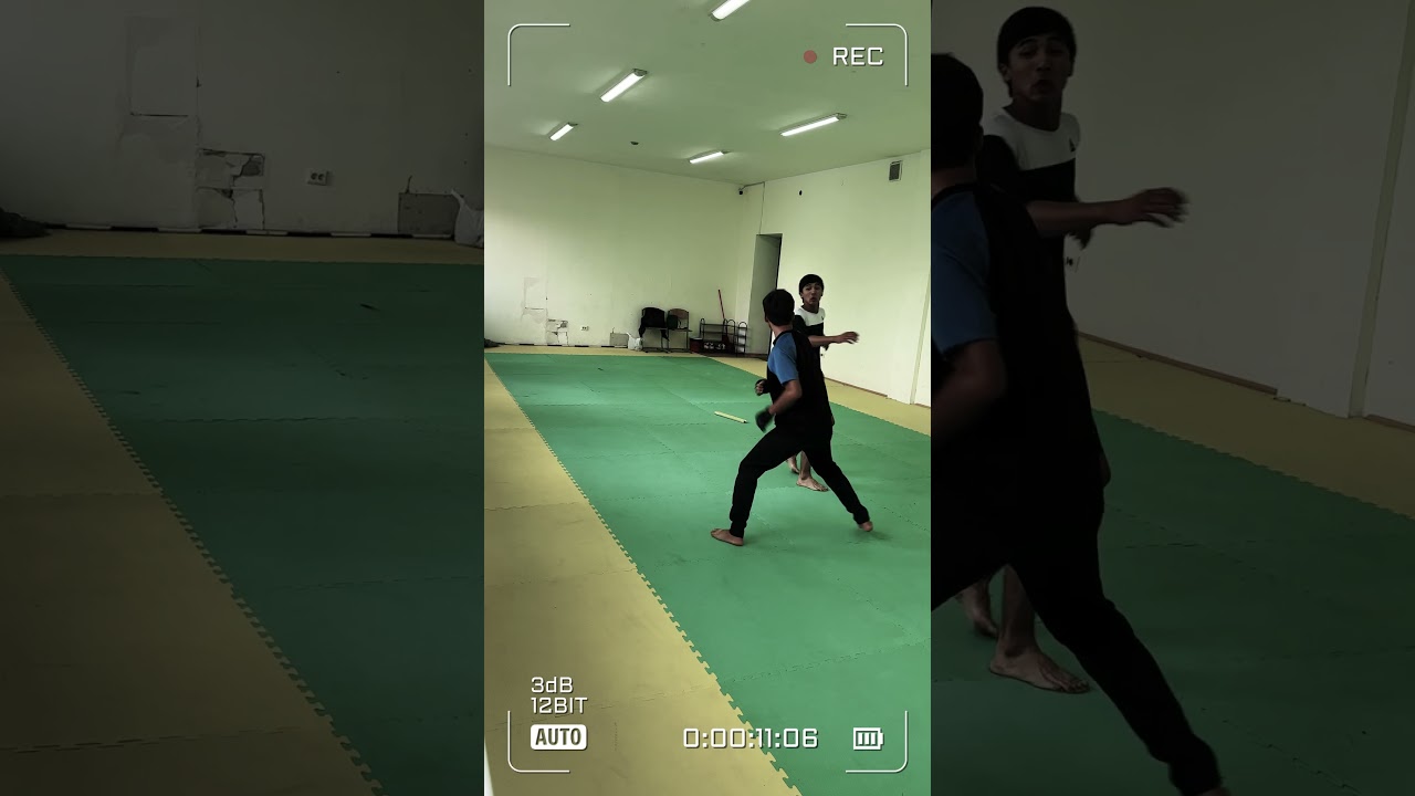 These stunts were performed by professionals. Please do not attempt to imitate them. #action #stunt