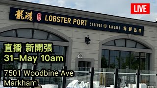 📣直播 #龍港海鮮盛宴 新開張🎊 LIVE @Lobster Port #多倫多