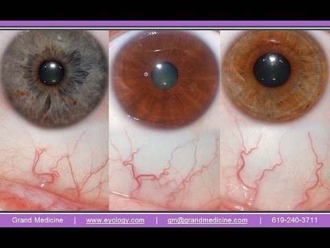 Sclerology Eye Chart