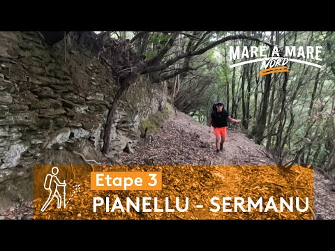 Image du reportage Pianellu – Sermanu : La découverte du Boziu (France 3 Corse ViaStella)