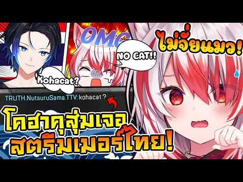 เมื่อ โคฮาคุ สุ่มมาเจอ นัตซุรุซามะ โดยบังเอิญ เลยโดนถามพิสูจน์ตัวจริง !! [ Vtuber ซับไทย ]