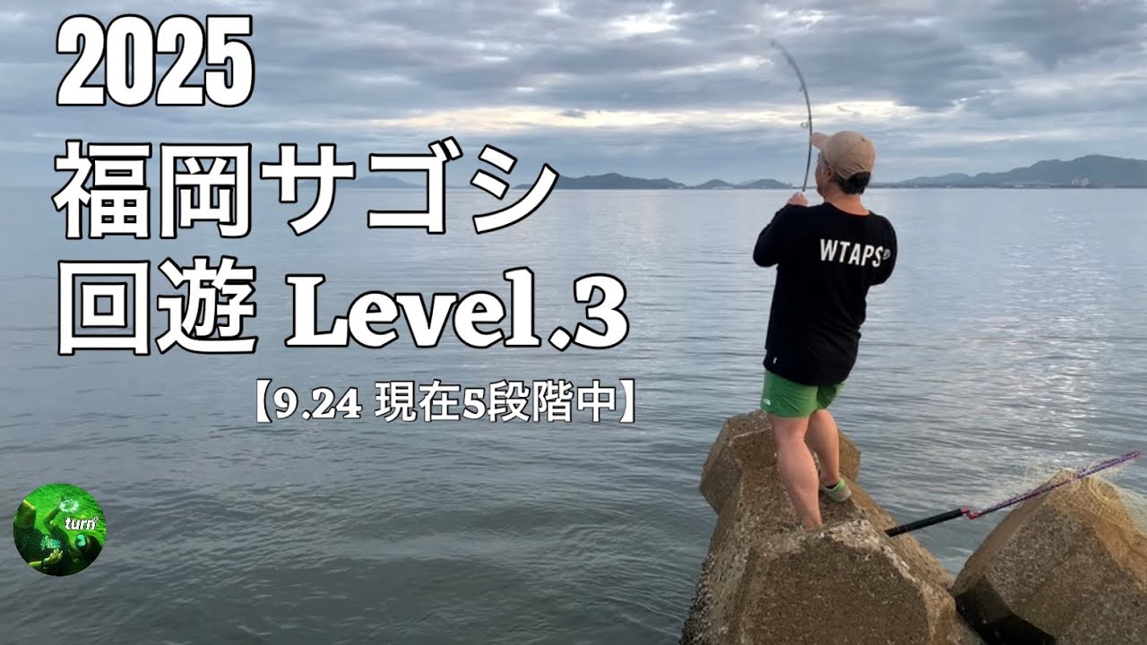 2025 福岡サゴシ ただ今、回遊Level.3(9.24現在)