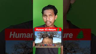 This Tree Can Save Your Life 😱 | This Giant Tree Holds Thousands of Liters of Water | Baobab Tree