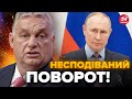 Ніхто не чекав! Угорщина ШОКУВАЛА рішенням Україну / В кабінеті Путіна вже істерика