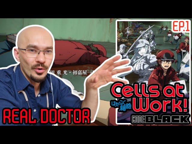 Hataraku Saibou (Black) = Cells At Work - Code Black Opening (HD): :  r/CellsAtWork