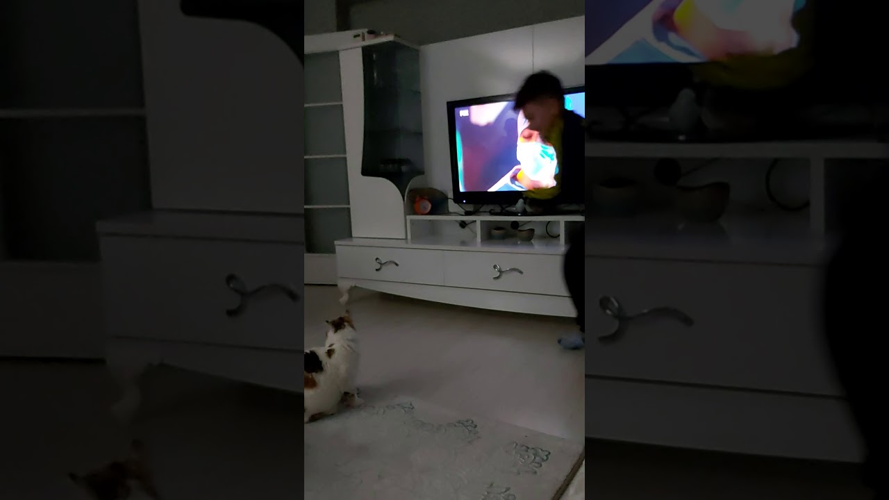 Piskopat Kedi Şanslı YouTube