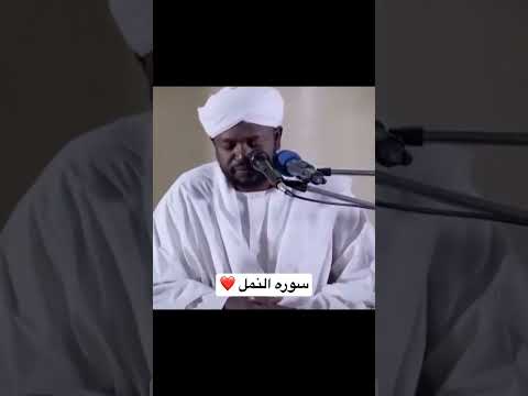 وورث سليمان داوود Sheik Norren Mohamed Siddiq شيخ نورين محمد صديق
