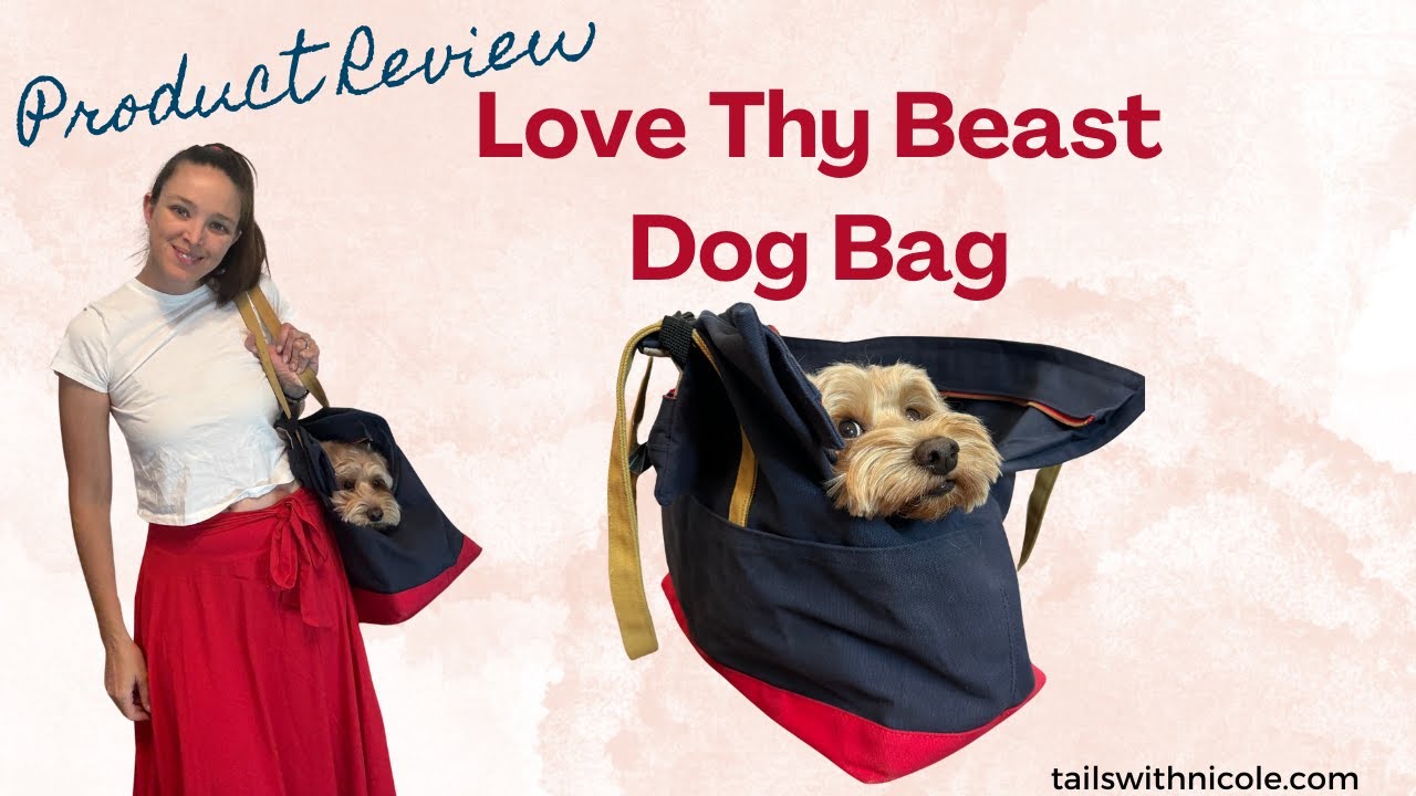 Love Thy Beast pet carrier bag review