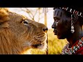Guardians of the Cattle | Life of a Maasai Herdsman