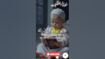 اكتب شيء تؤجر عليه 🤍 🤲🏻 #quran #اسلام #قرآن #راحة_نفسية #سورة_العنكبوت