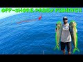 Off-Shore Kelp Paddy Fishing for Yellowtail & Dorado!  San Diego, CA