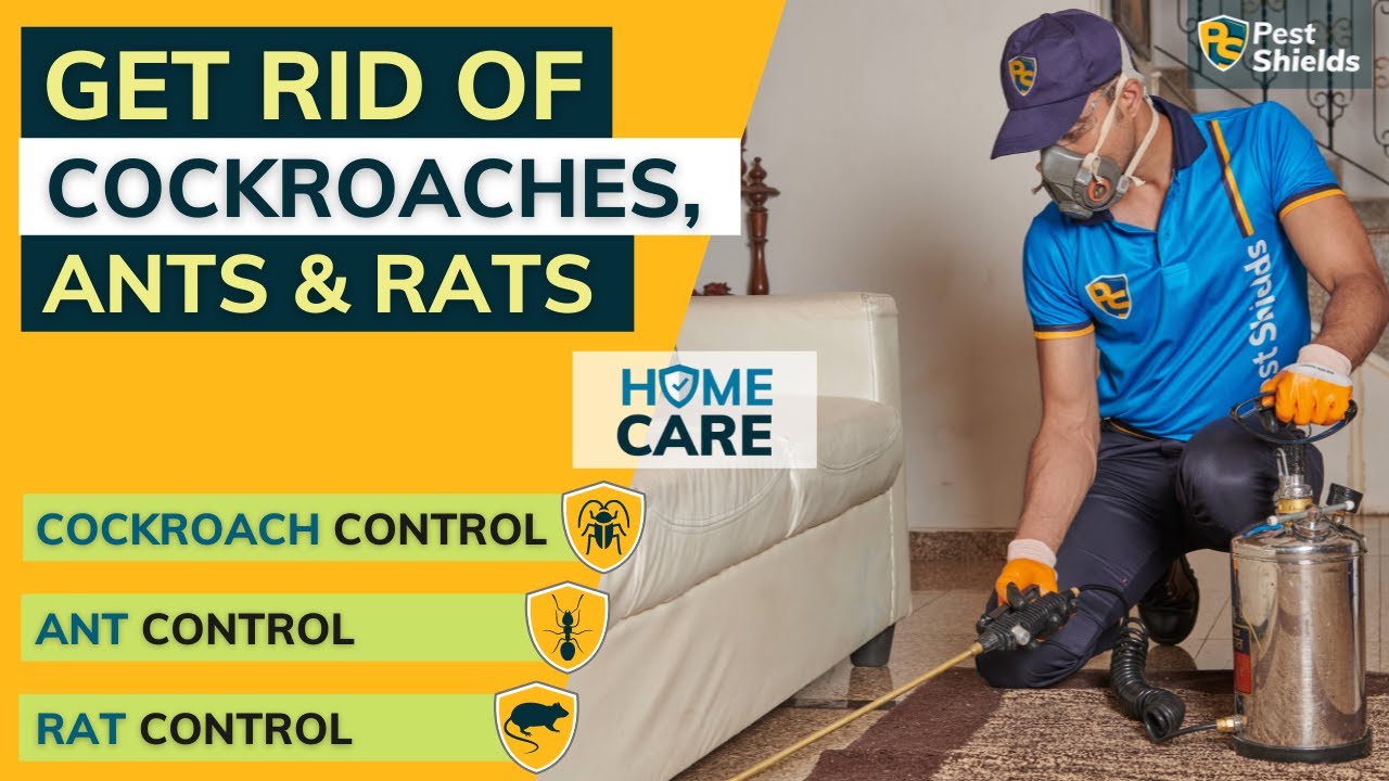 Home Pest Control | Cockroaches🪳, Ants🐜 & Rats🐀 Control | 3-in-1 ...