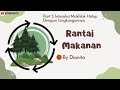 RANTAI MAKANAN (Interaksi Makhluk Hidup Part.3)