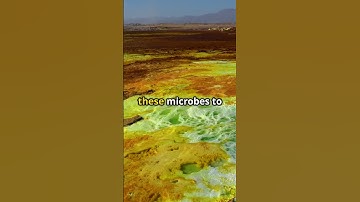 Could These Microbes Actually Survive on Mars?! 🧫🚀 #shorts