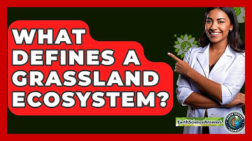 What Defines A Grassland Ecosystem? - Earth Science Answers