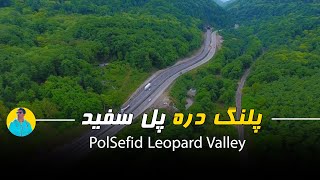 پلنگ دره / Leopard Valley/ this is iran ,travel guides iran