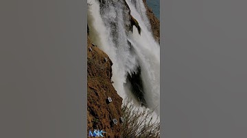 الذين آتيناهم الكتاب يعرفونه كما يعرفون أبناءهم سورة الأنعام - الآية 20