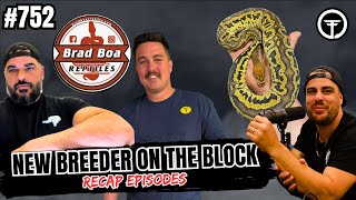 Kosmos Ball Python Project... STILL HOTTER THAN EVER! | NBB Recap Episodes Wealth