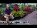 Annual and Perennial Flowers 2020 - P1