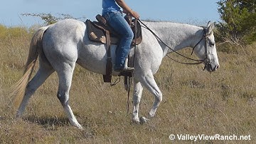 Impressive Kid O***For info, price, etc., go to our website*** Valley View Ranch