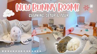 New Bunny Room Cleaning, Setup & Tour