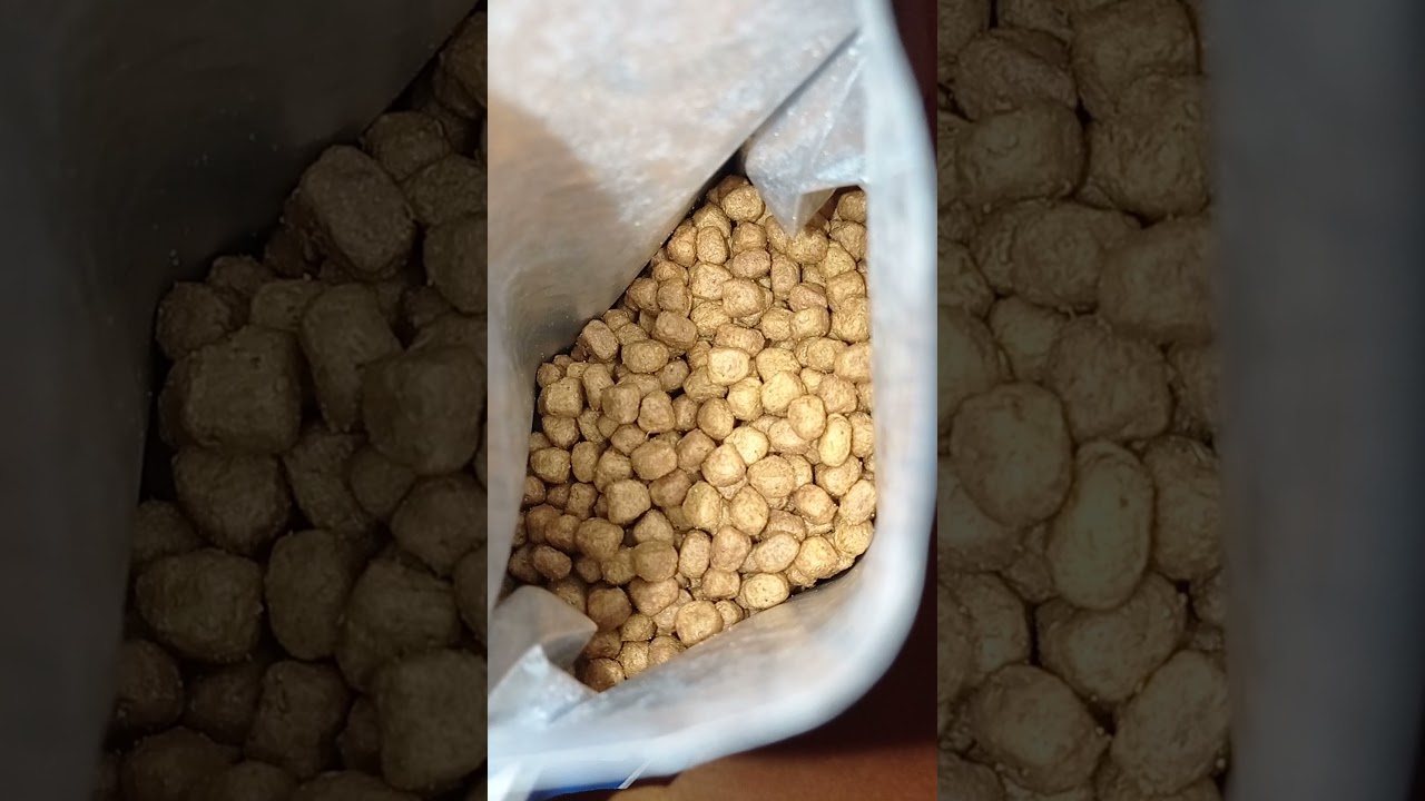 Royal Canin Indoor +7 для котов старше 7 лет живущих в помещении 400 г