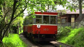 箱根登山鉄道　モハ1形サンナナ+109　新緑を訪ねて　その2