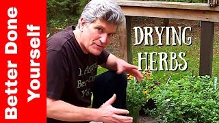 How to Dry Herbs in the Microwave