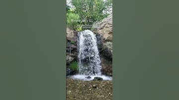تلاوة خاشعة
