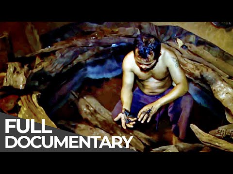 Living with the Most Dangerous Animals & Diamond Hunters | Mavericks | Free Documentary