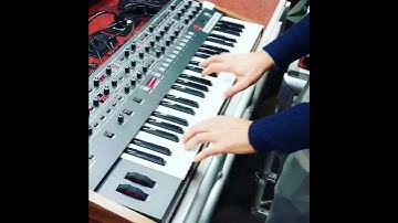 ... House on Prophet 6 !