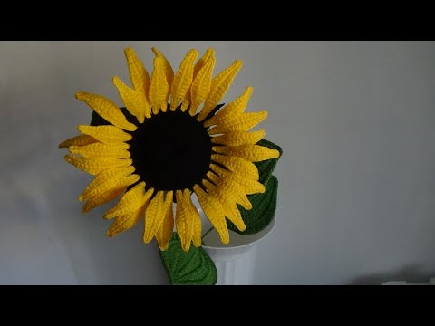 Video: Cum Să Recunoaștem Bolile De Floarea-soarelui? Partea 1
