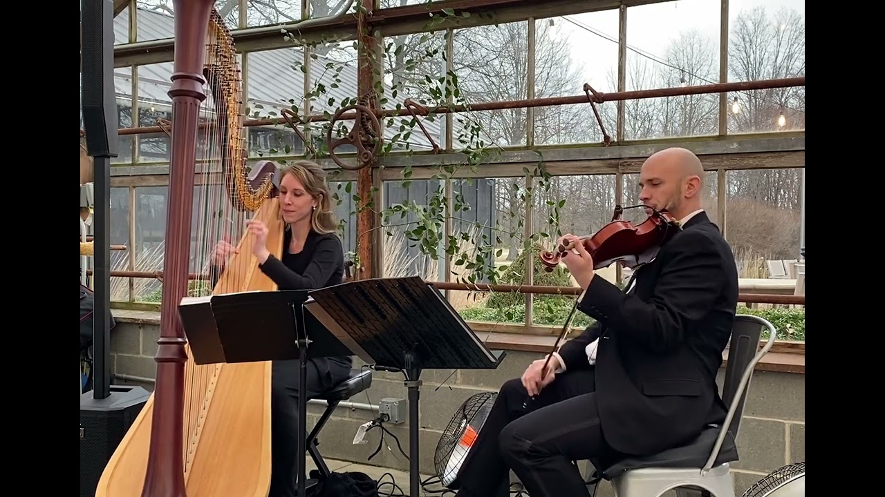 A Thousand Years by Christina Perri ~ Columbus Musicians, LLC harp and violin duo