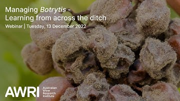 Managing Botrytis   Learnings from across the ditch