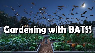 Bats Are Your Garden's Secret Weapon - How to Attract Them Naturally